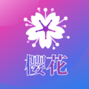 樱花秀场